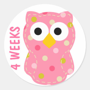 Owl Pregnancy Sticker
