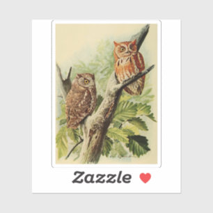Owl Print