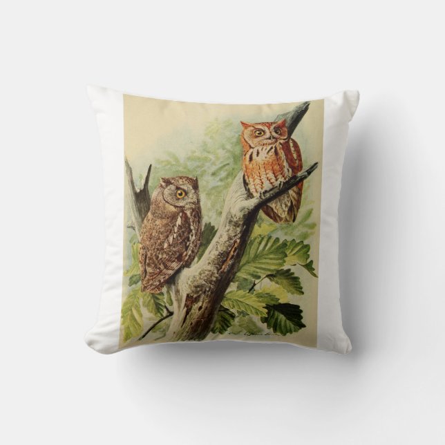 Owl Print  Cushion (Front)