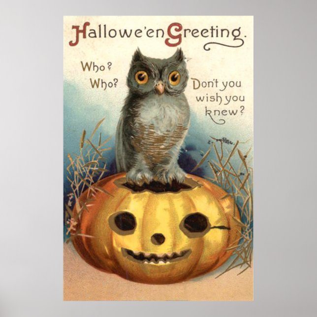 Owl Pumpkin Jack O Lantern Poster (Front)