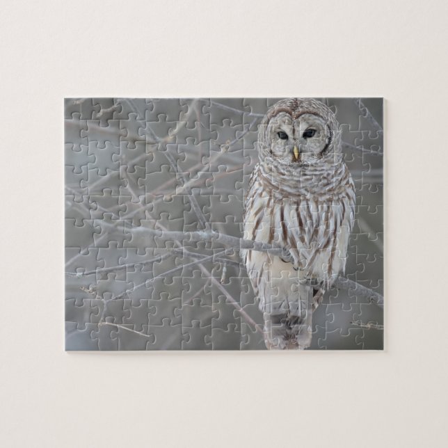 Owl Puzzle (Horizontal)