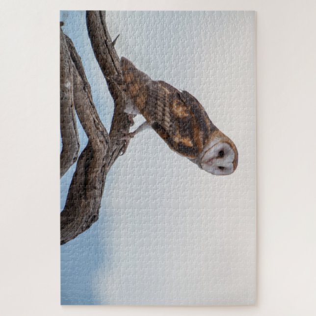 Owl Puzzle (Vertical)