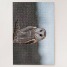 Owl Puzzle