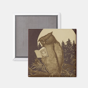 Owl  Reading by Moonlight Magnet