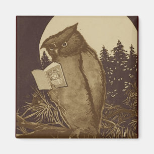 Owl  Reading by Moonlight Magnet