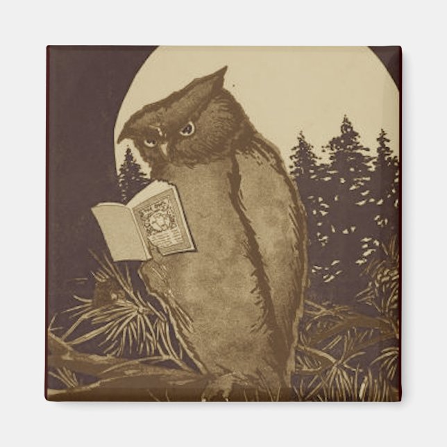 Owl  Reading by Moonlight Magnet (Front)
