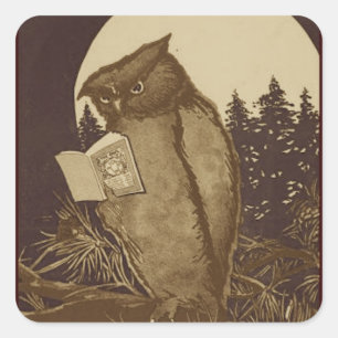 Owl  Reading by Moonlight Square Sticker
