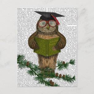 Owl Reading On Branch Postcard