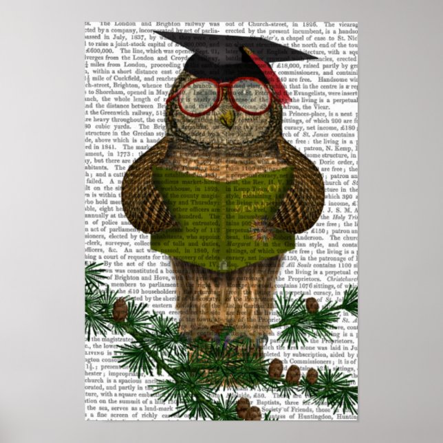 Owl Reading On Branch Poster (Front)