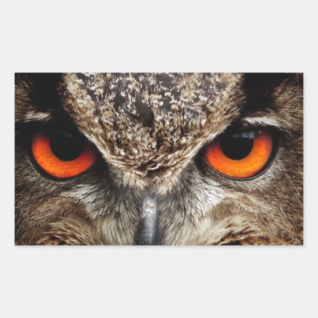 Owl Rectangular Sticker (Front)