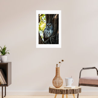 Owl Resting in Tree Poster