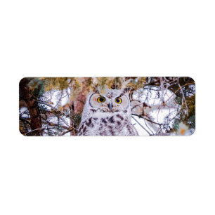 Owl Return Address Label