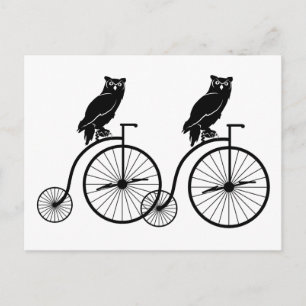 Owl Riding Vintage Bike Postcard