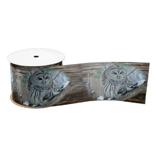 Owl Satin Ribbon