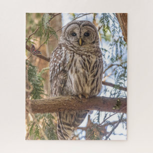 Owl Sitting in Tree Nature Puzzle