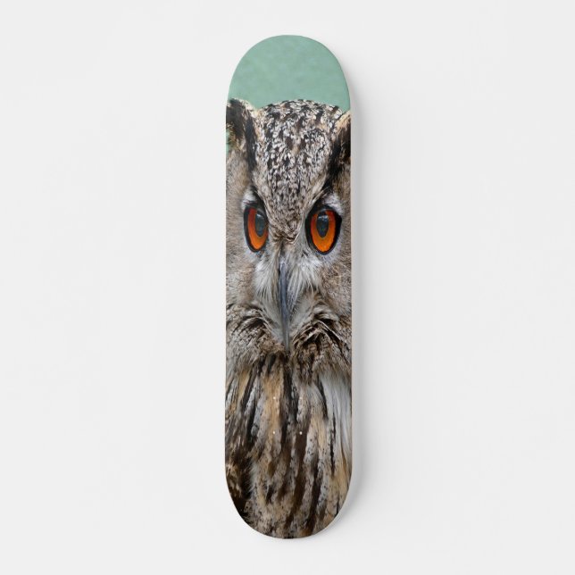 owl skateboard (Front)