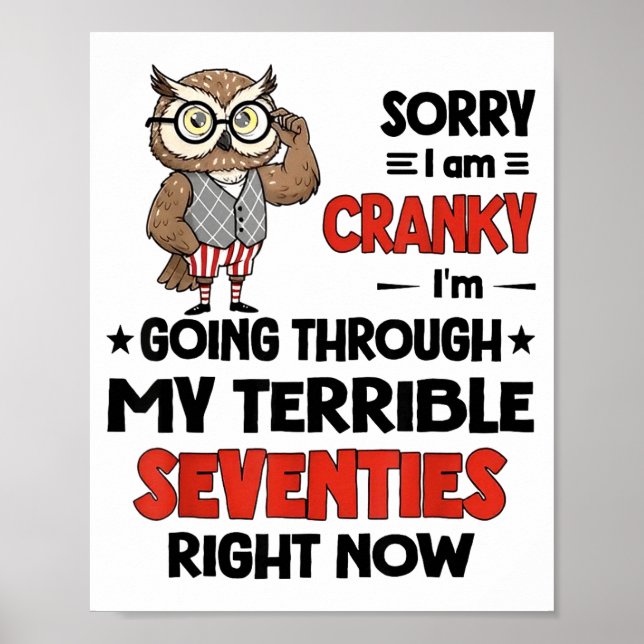 Owl Sorry I'm Cranky I'm Going Through My Terrible Poster (Front)