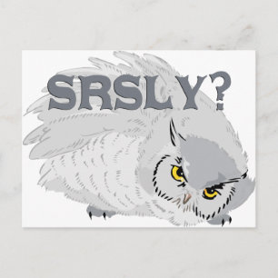 Owl SRSLY? Postcard