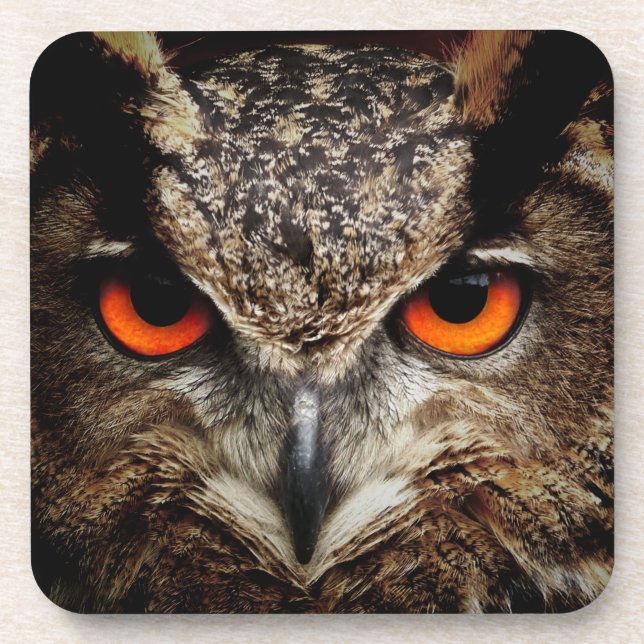 OWL stare Coaster (Front)