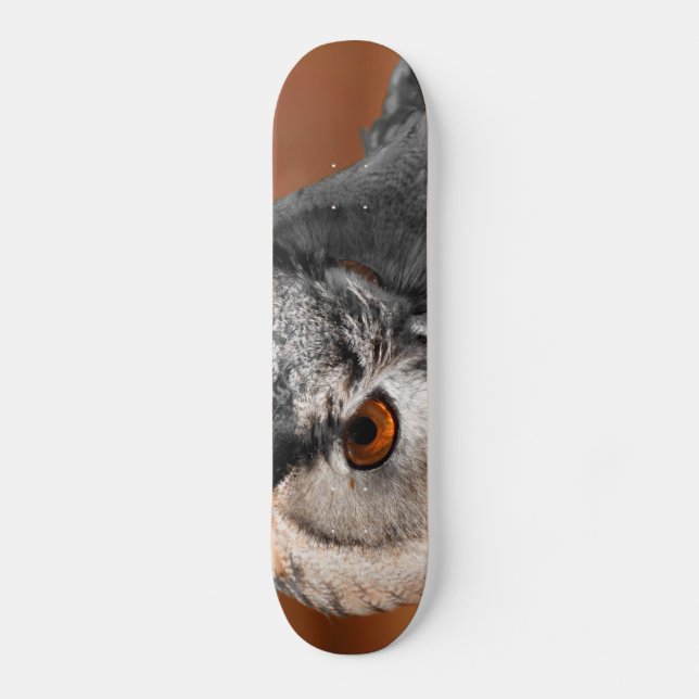 Owl Stare Skateboard (Front)
