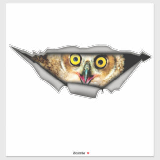 Owl sticker, car decal, Vinyl decal,Car decoration