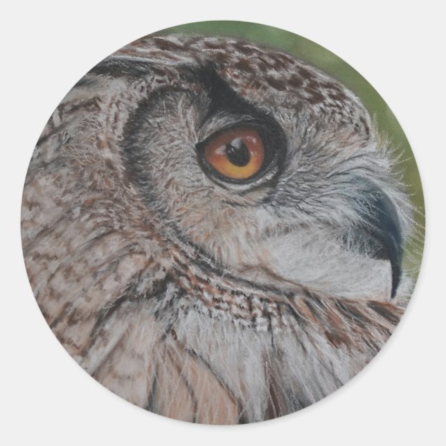 Owl stickers (Front)