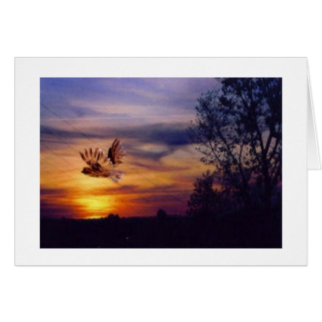 Owl Sunset Photo (Front Horizontal)