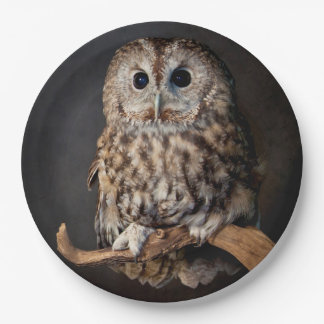 Owl Symbol of wisdom Paper Plate