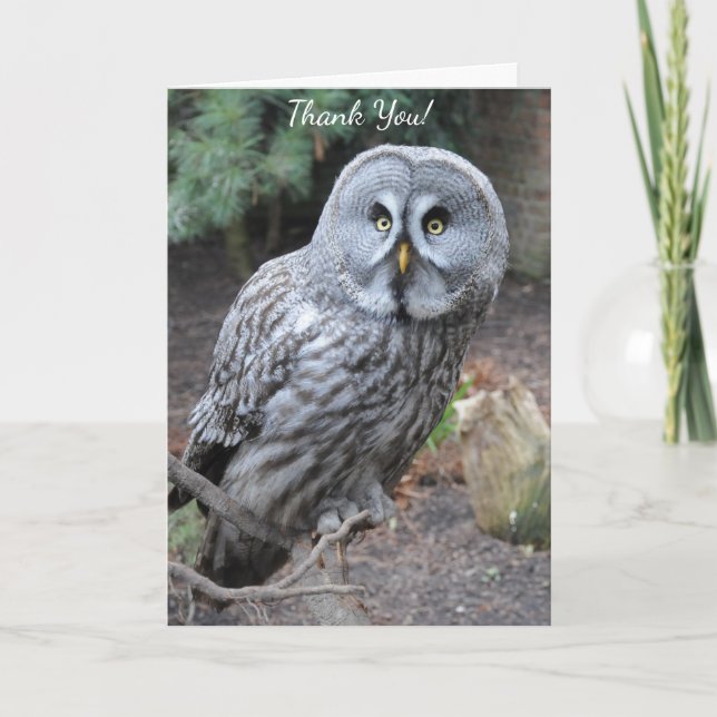 Owl Thank You Card (Front)