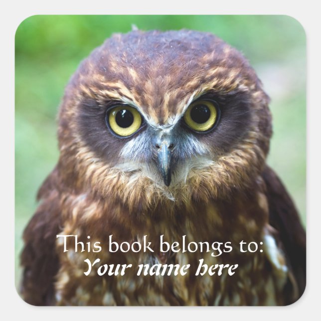 Owl "This book belongs to" Sticker (Front)