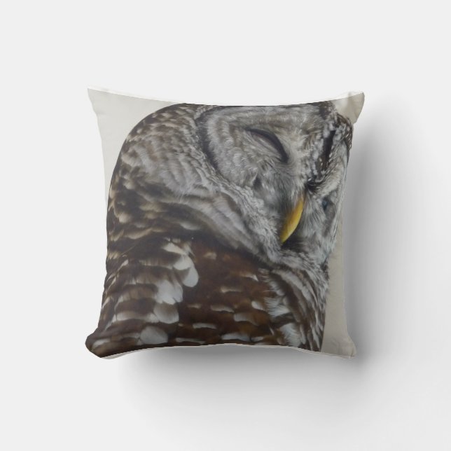 Owl throw pillow (Front)