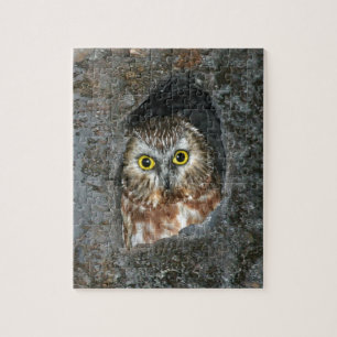 owl tree baby inside jigsaw puzzle