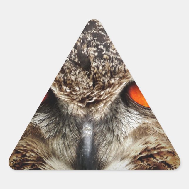 Owl Triangle Sticker (Front)