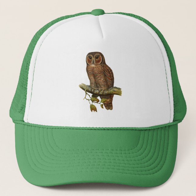 OWL TRUCKER HAT (Front)