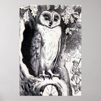 "Owl" Vintage Illustration Poster