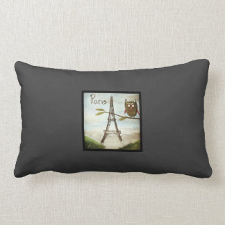 Owl Visits Paris, Part Deux- the Lumbar Support! Lumbar Cushion