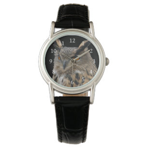 Owl Watch