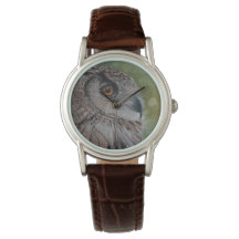 Owl Watch