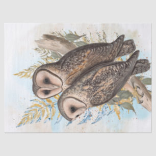 Owl Watercolor Art Tissue Paper