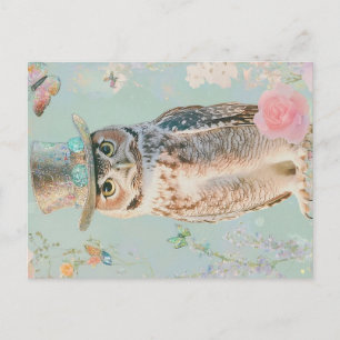 owl with a hat postcard