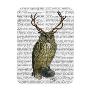 Owl with Antlers plain 2 Magnet