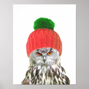 Owl with cap funny animal portrait poster