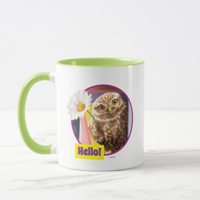 Owl With Flower In Mailbox Mug (Left)