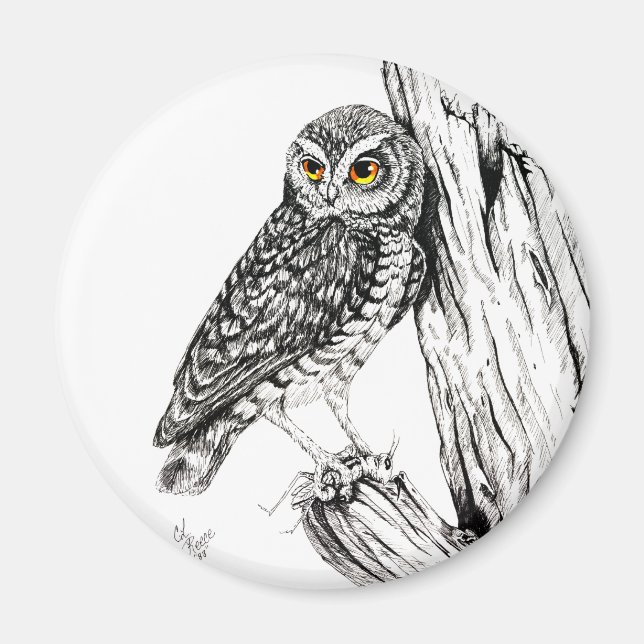 Owl With Grasshopper Magnet (Front)