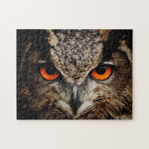 Owl with Orange Eyes Colour Jigsaw Puzzle