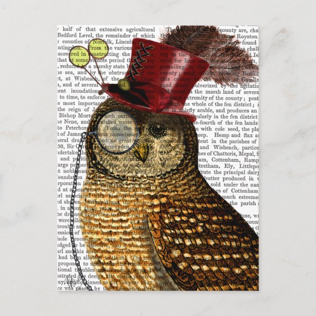 Owl With Top Hat 3 Postcard (Front)