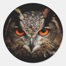 Owl with Yellow eyes Round Sticker