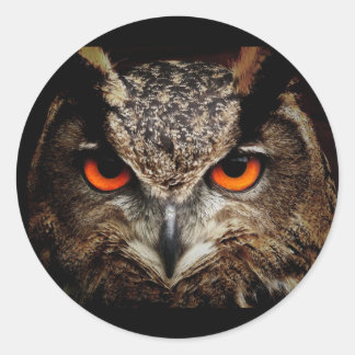 Owl with Yellow eyes Round Sticker
