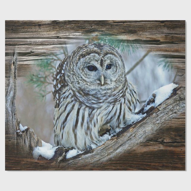 Owl Wrapping Paper (Flat)