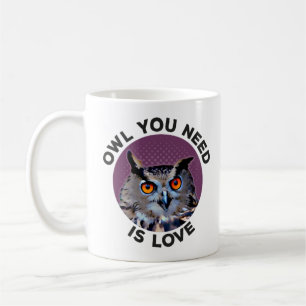 Owl you need is love coffee mug